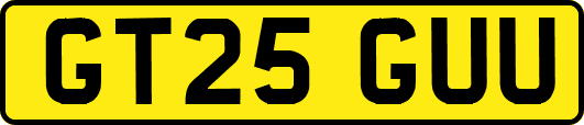 GT25GUU