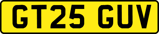 GT25GUV