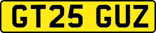 GT25GUZ