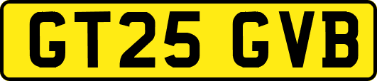 GT25GVB