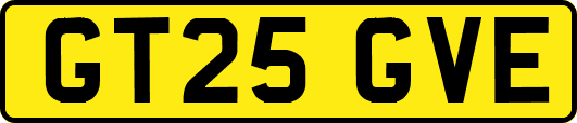 GT25GVE