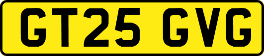 GT25GVG