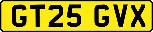 GT25GVX