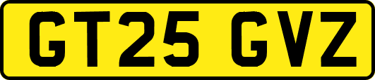 GT25GVZ