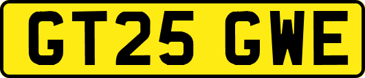 GT25GWE
