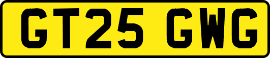 GT25GWG