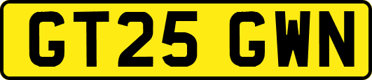 GT25GWN