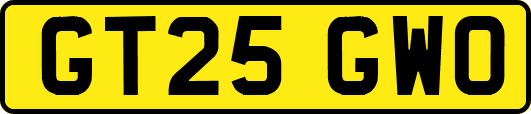 GT25GWO