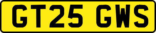 GT25GWS