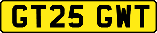 GT25GWT