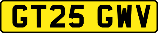 GT25GWV