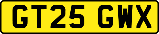GT25GWX