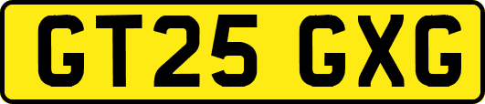 GT25GXG