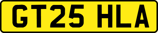 GT25HLA