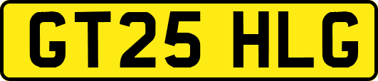 GT25HLG