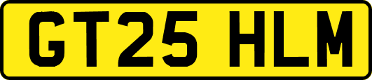 GT25HLM