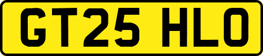GT25HLO