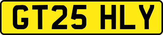 GT25HLY
