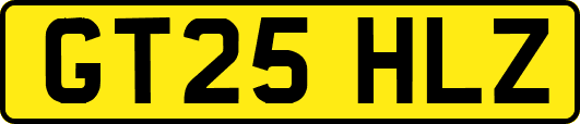 GT25HLZ