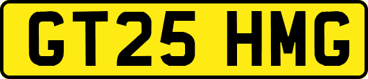 GT25HMG