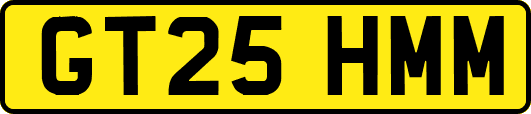 GT25HMM