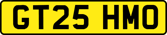 GT25HMO