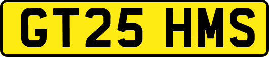 GT25HMS
