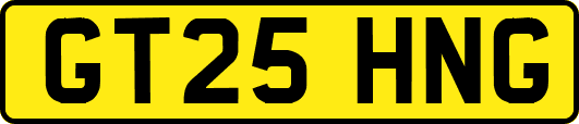GT25HNG