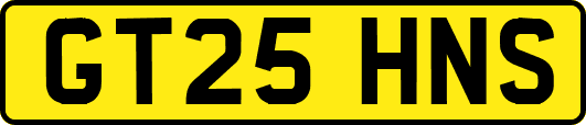 GT25HNS