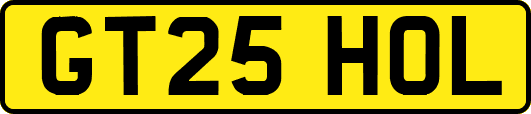 GT25HOL