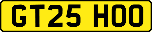 GT25HOO