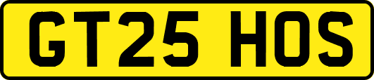 GT25HOS