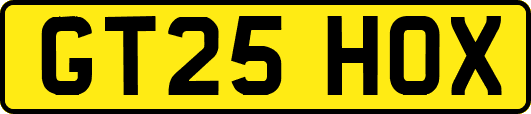 GT25HOX