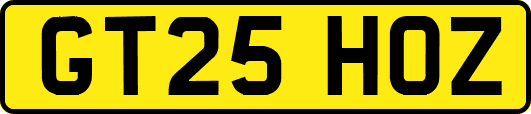 GT25HOZ