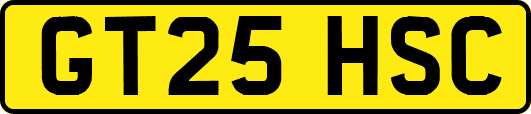 GT25HSC