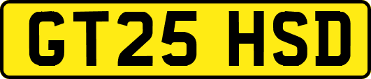 GT25HSD