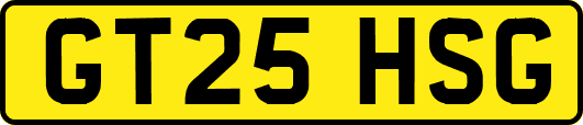 GT25HSG