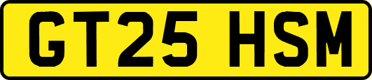 GT25HSM