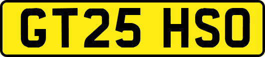 GT25HSO