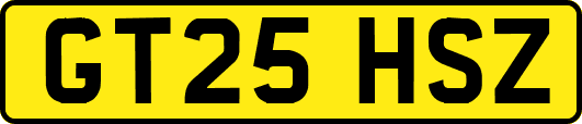 GT25HSZ