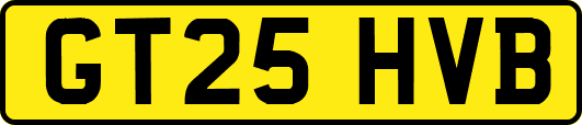 GT25HVB