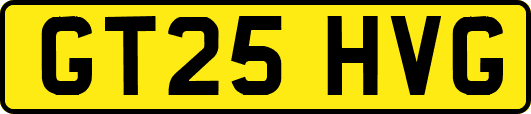 GT25HVG