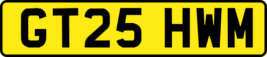 GT25HWM