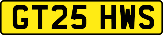 GT25HWS