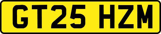 GT25HZM