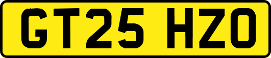 GT25HZO