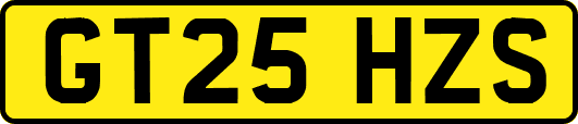 GT25HZS