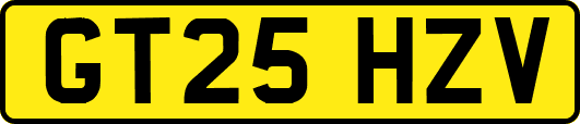 GT25HZV