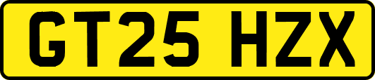 GT25HZX