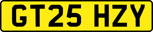 GT25HZY